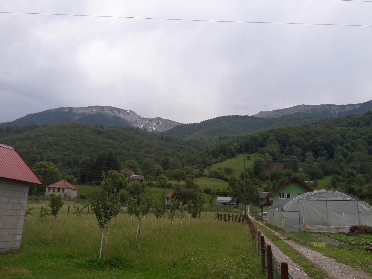 Vuceljic Rooms Andrijevica 外观 照片