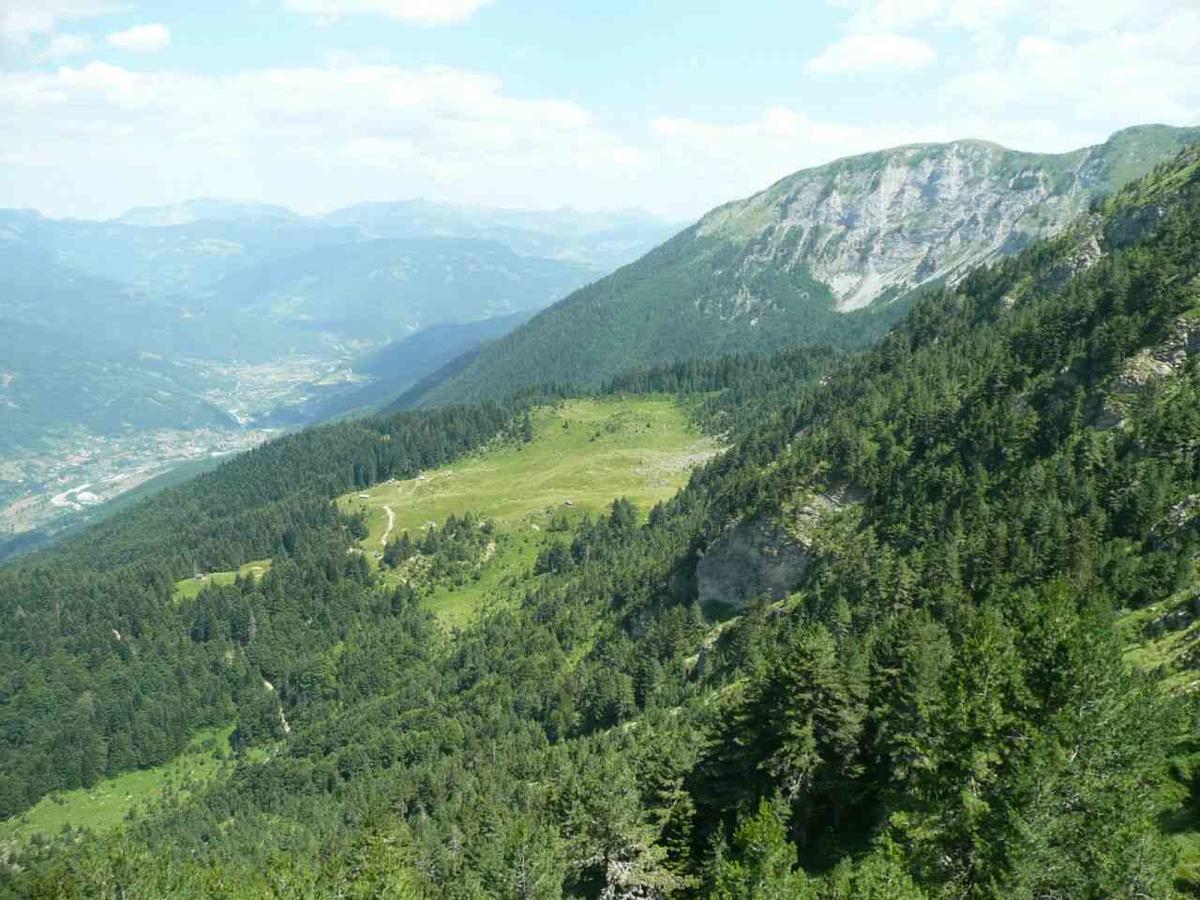 Vuceljic Rooms Andrijevica 外观 照片